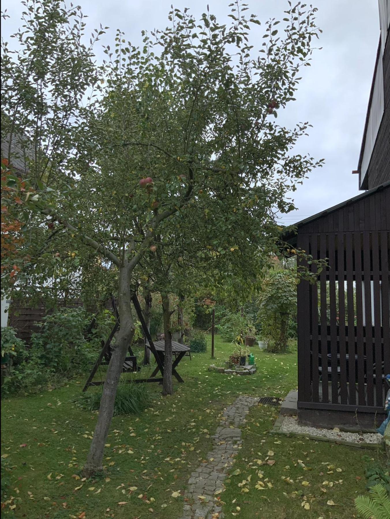 Apartament Pod Zamkiem Chojnik Jelenia Góra Εξωτερικό φωτογραφία